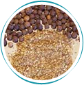 Black Pepper